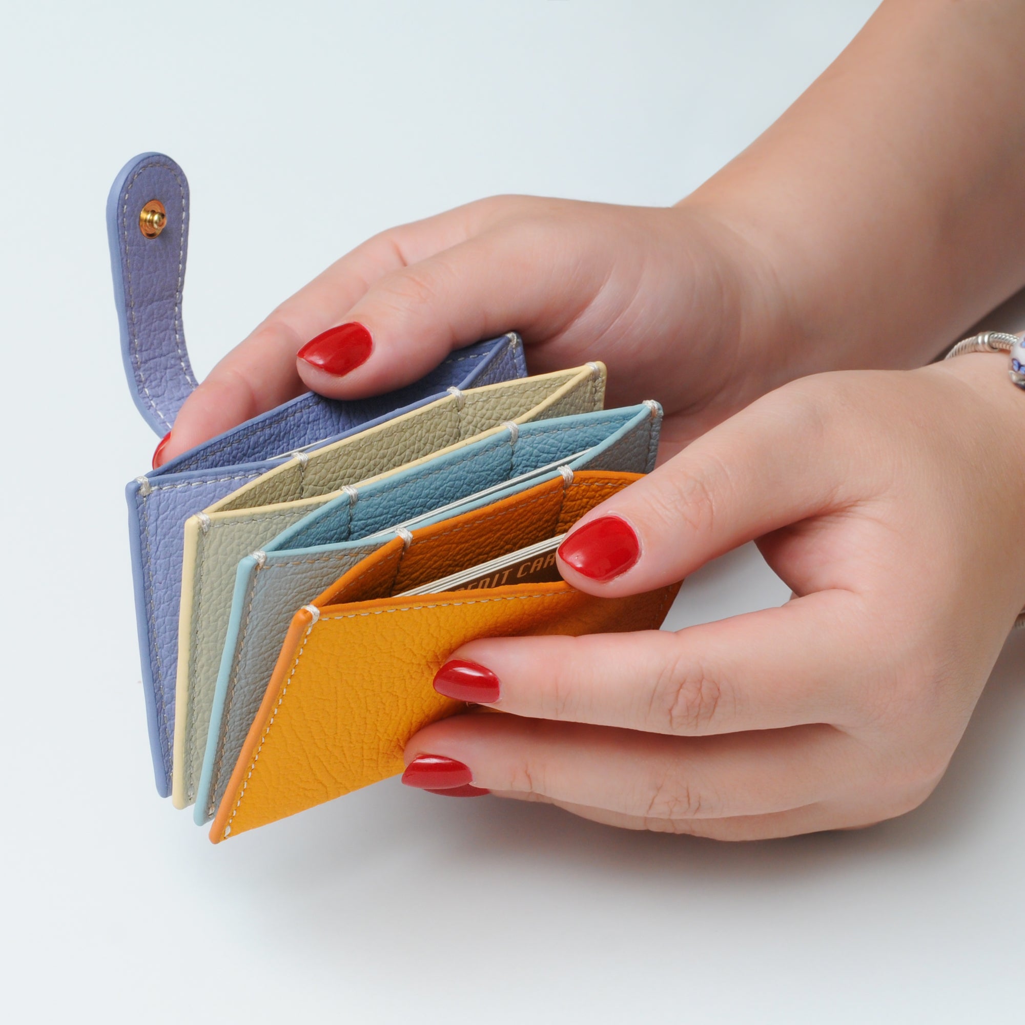 Akordiyon Kredi Kartlık Lila