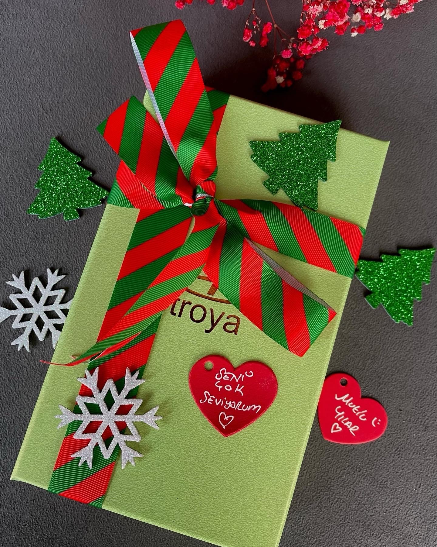 Su Pitonu Desenli Deri iPhone Kılıfı | Kırmızı